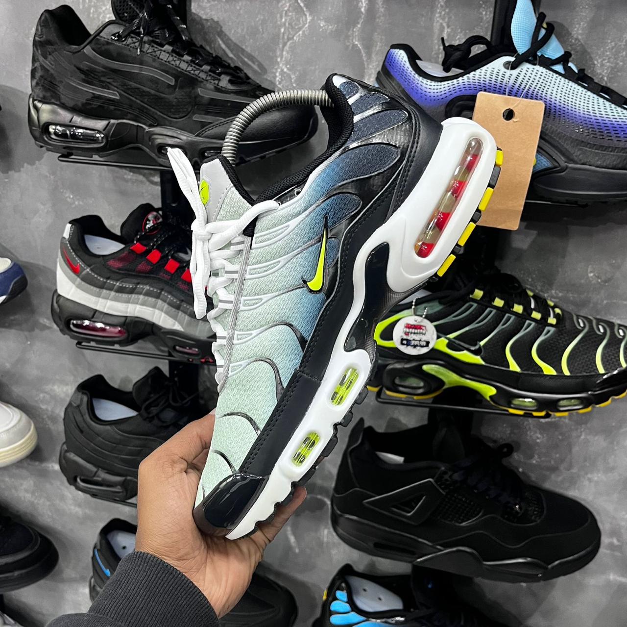 TN PLUS