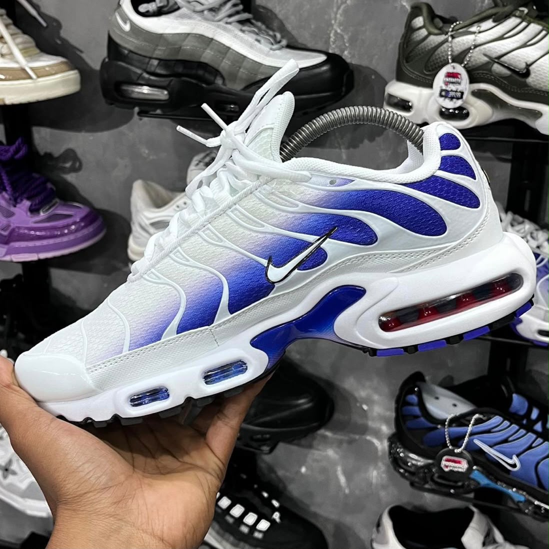 TN PLUS