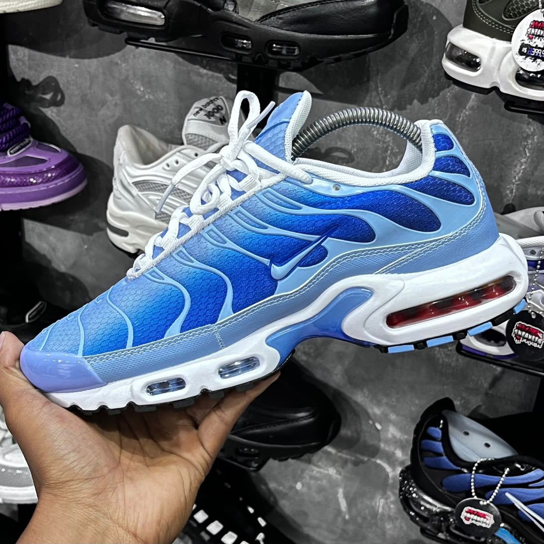 TN PLUS