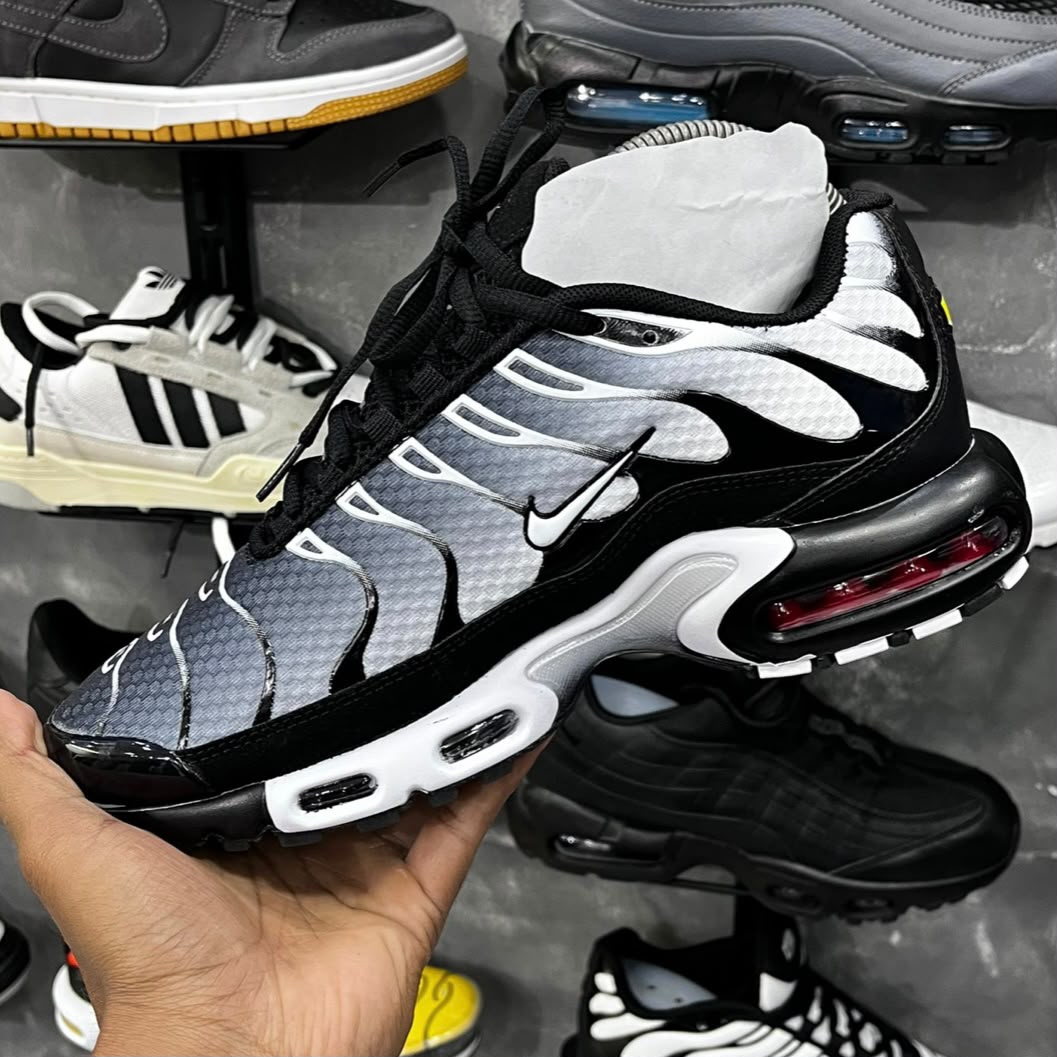 TN PLUS