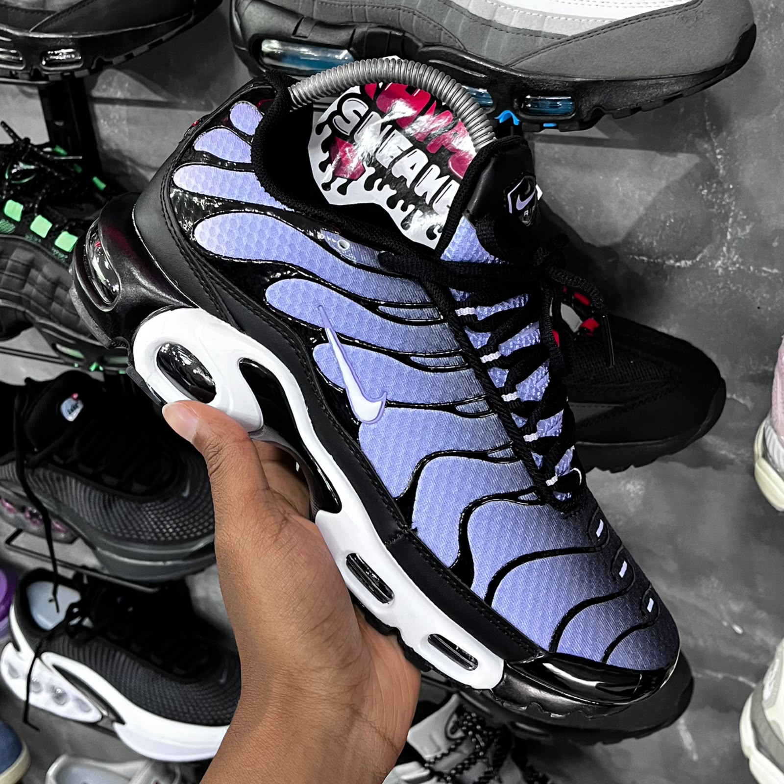 TN PLUS