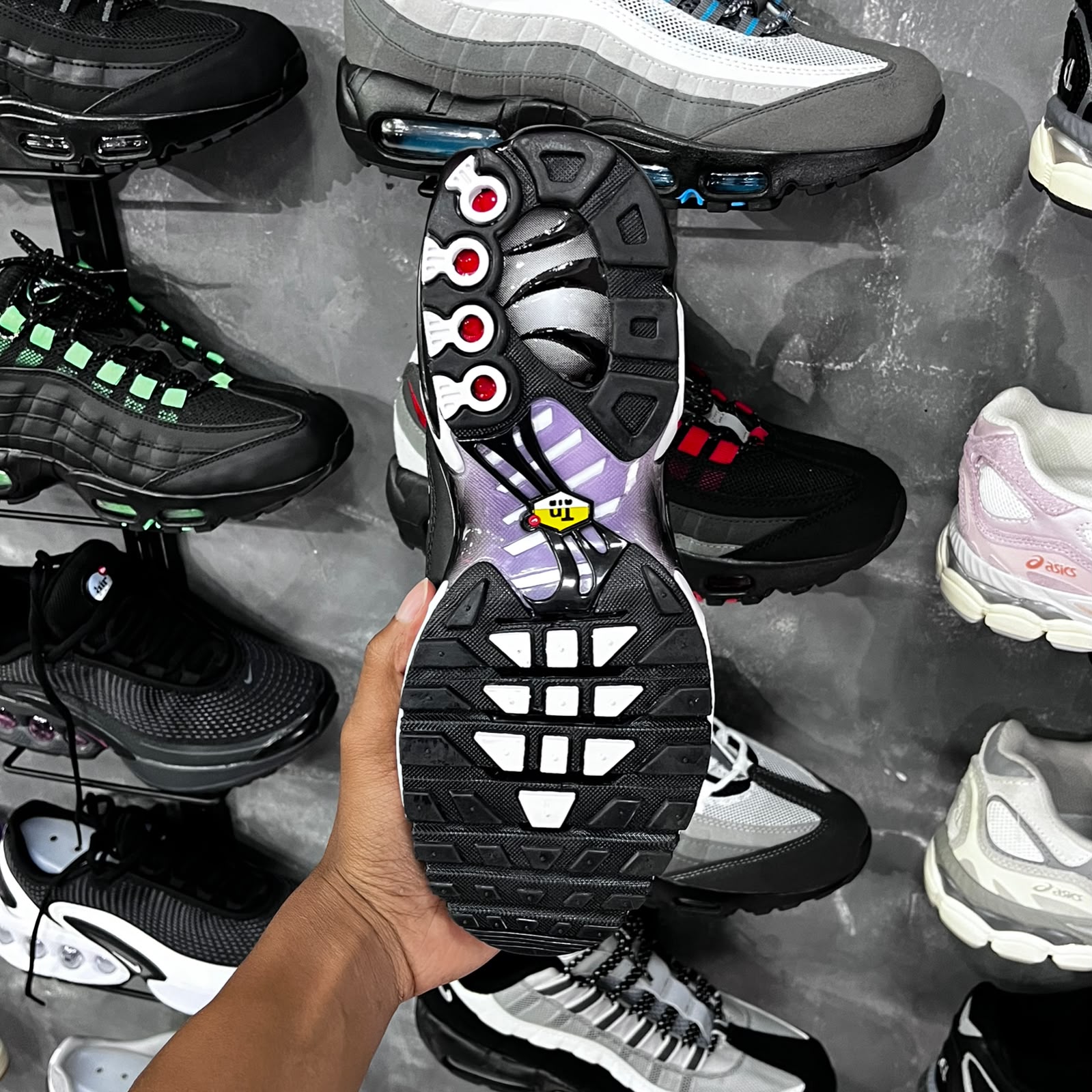 TN PLUS