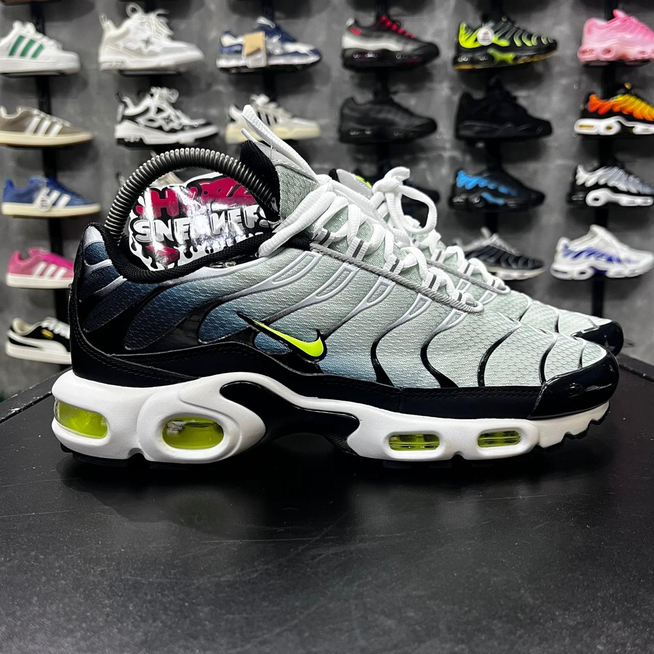 TN PLUS