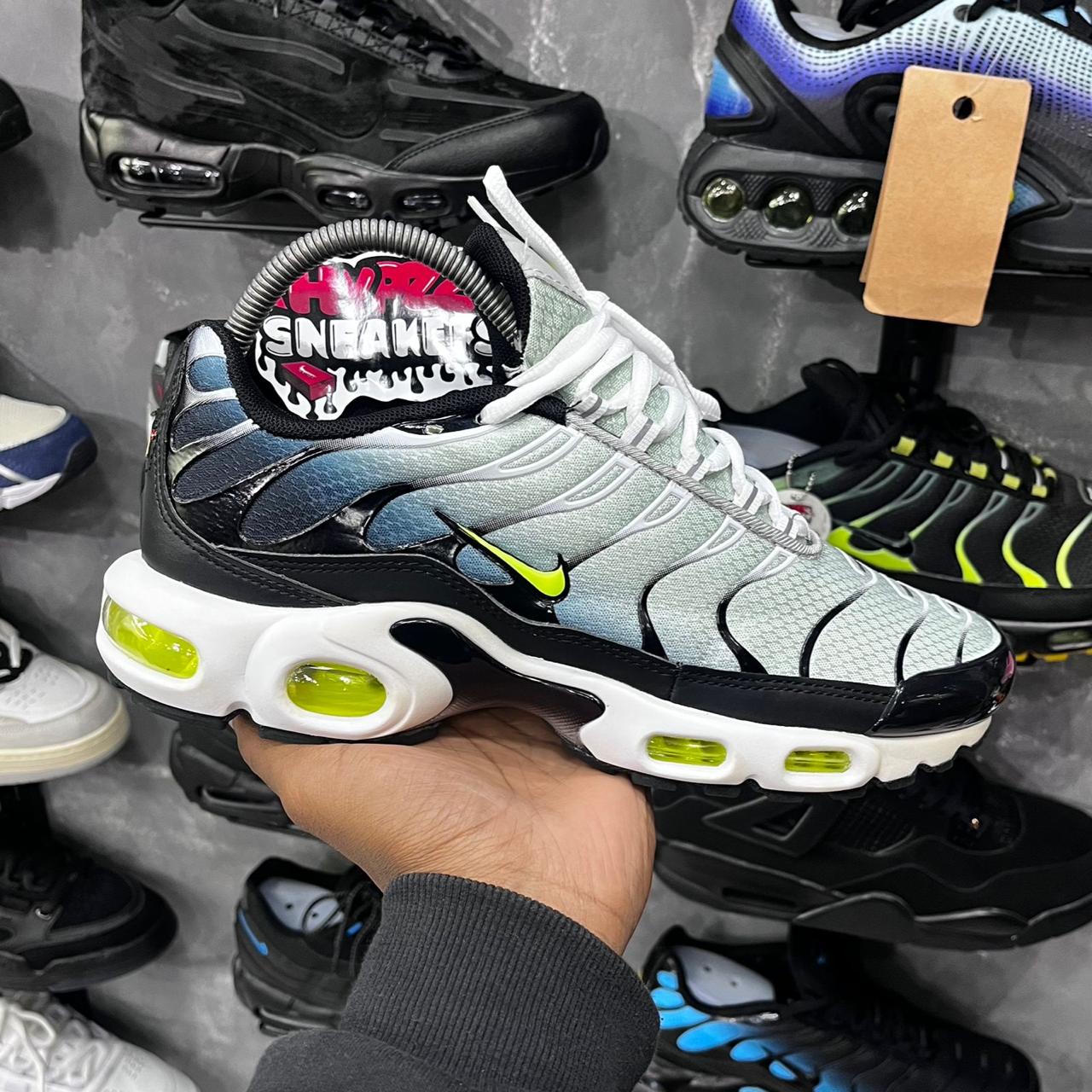 TN PLUS