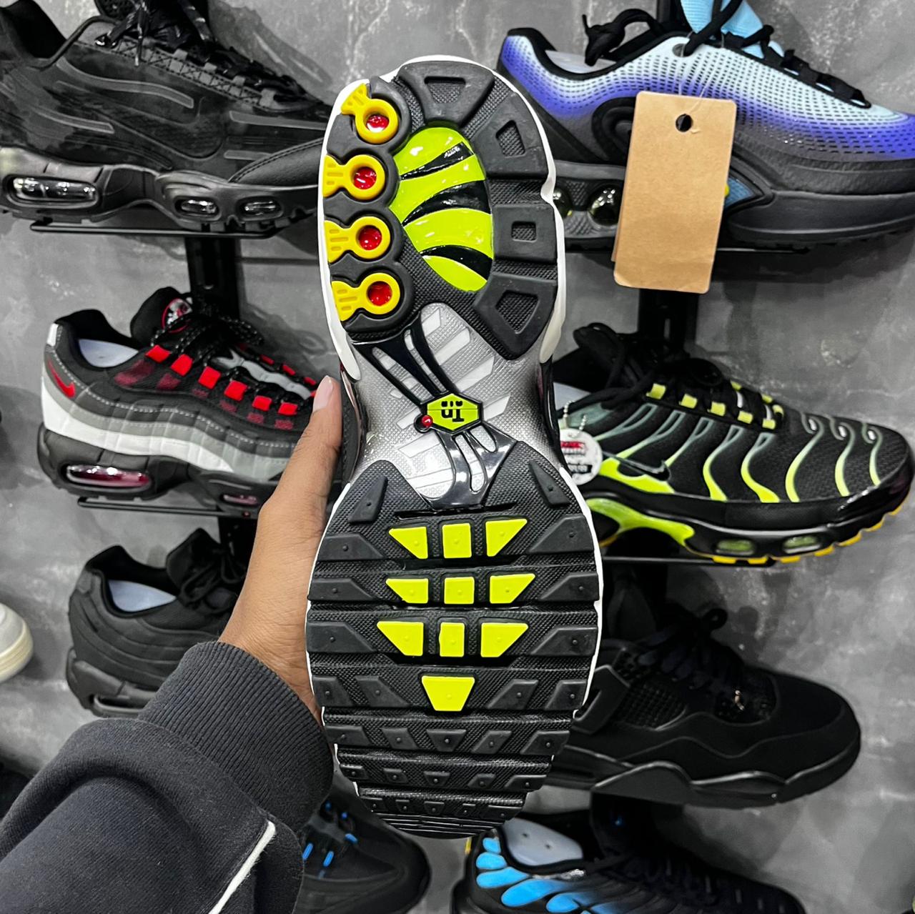 TN PLUS
