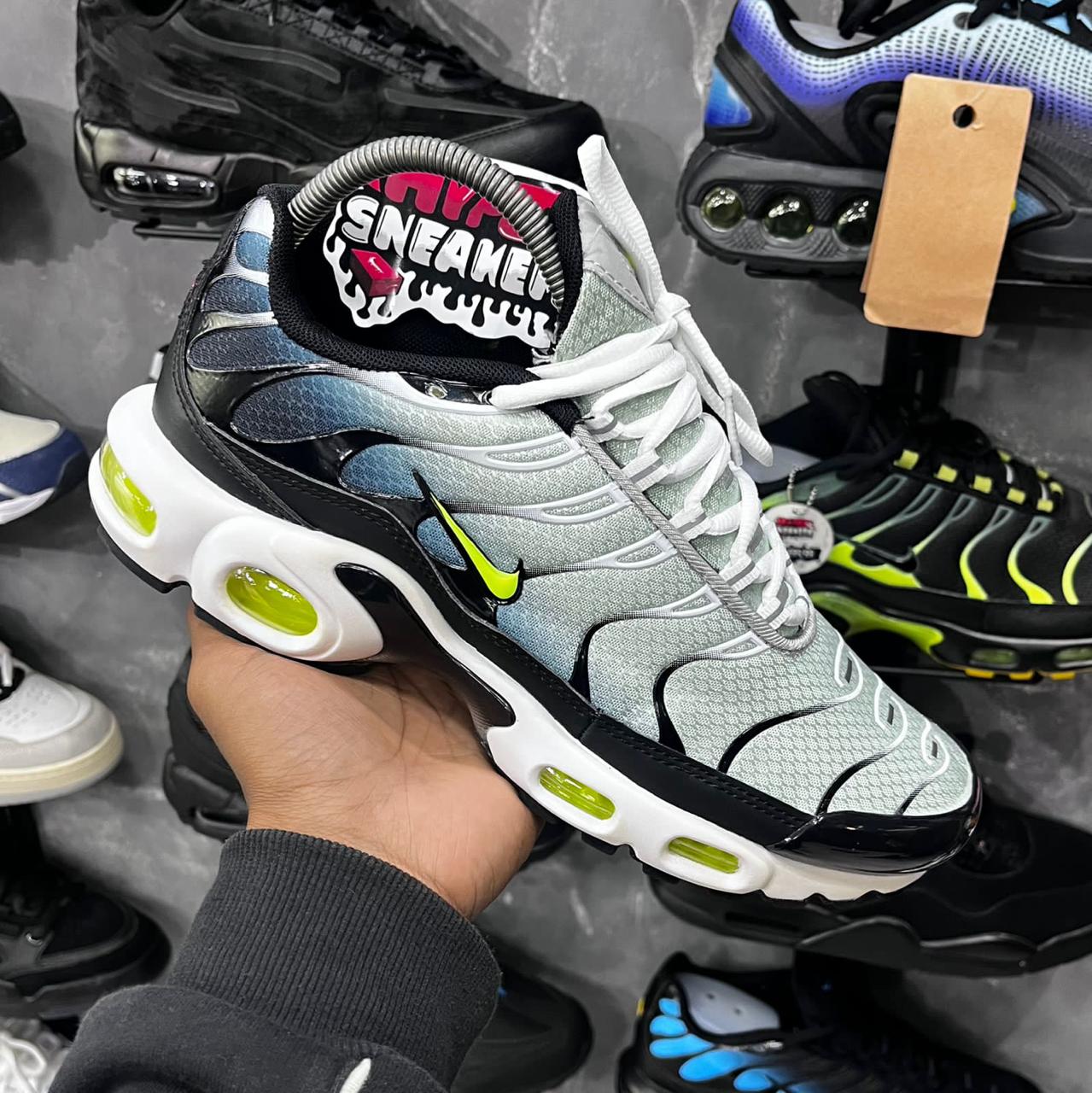 TN PLUS