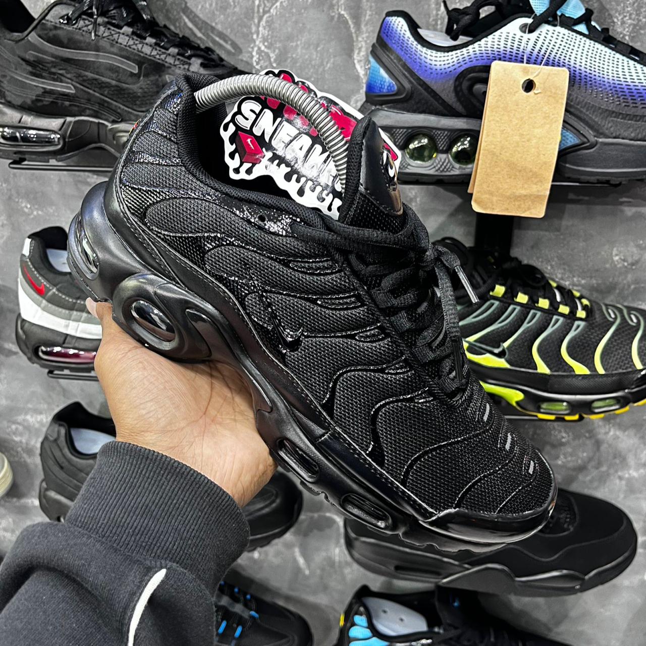 TN PLUS