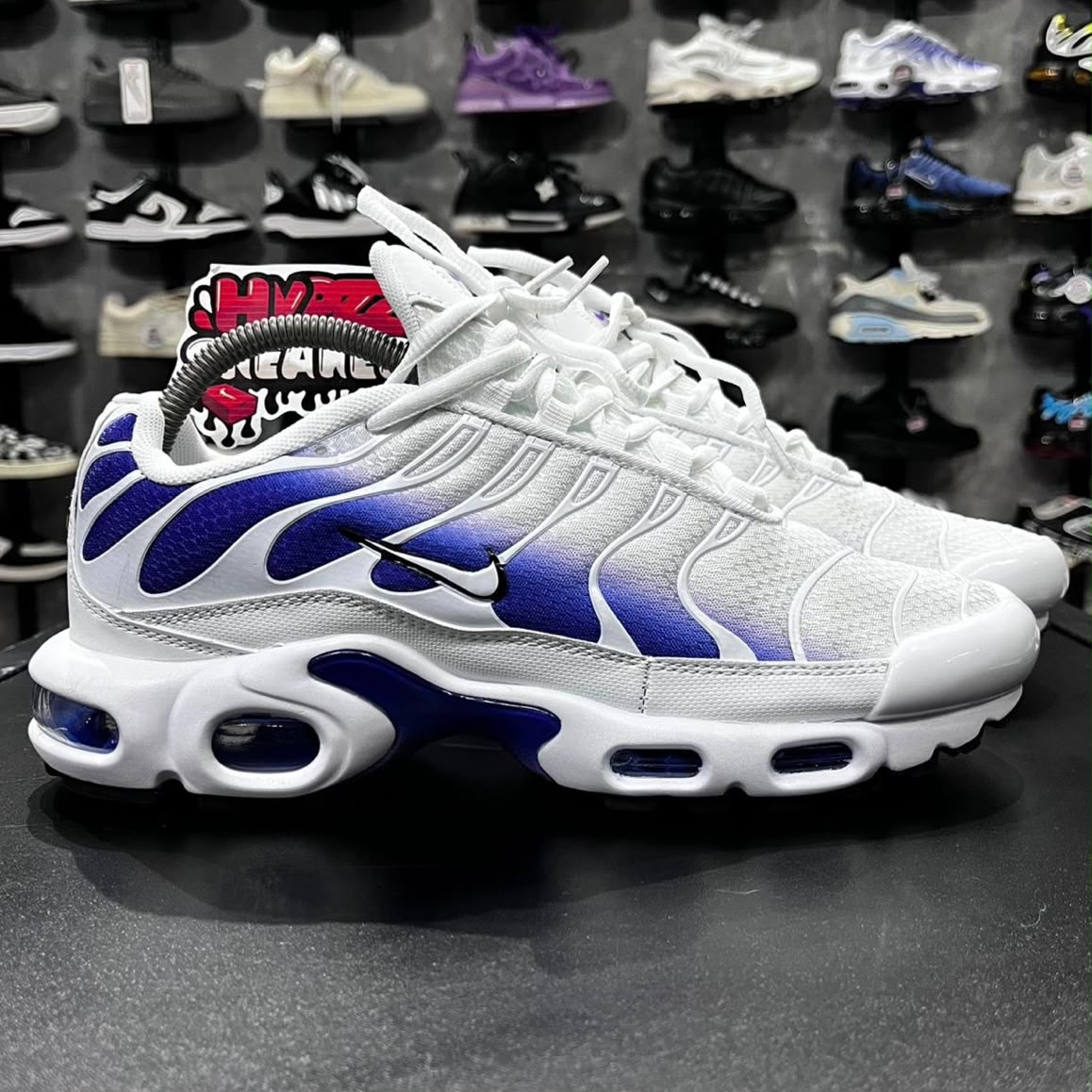 TN PLUS