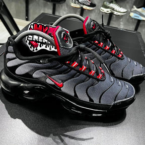 TN PLUS