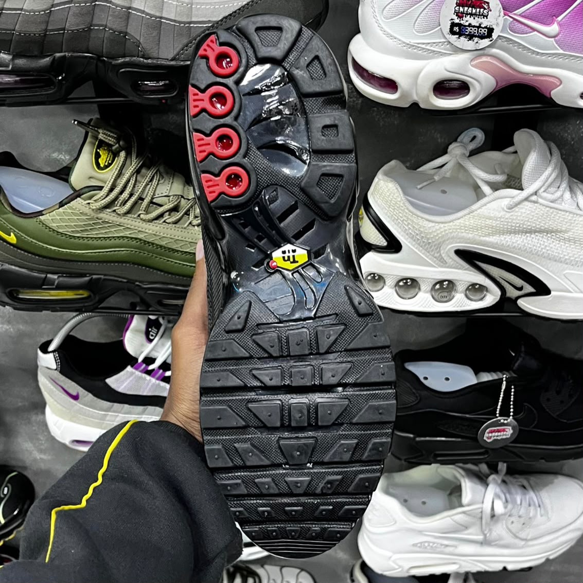 TN PLUS