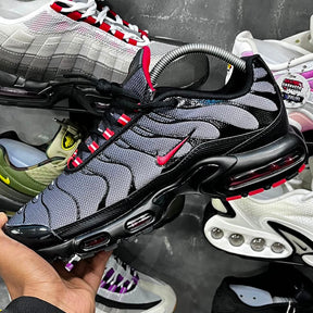 TN PLUS