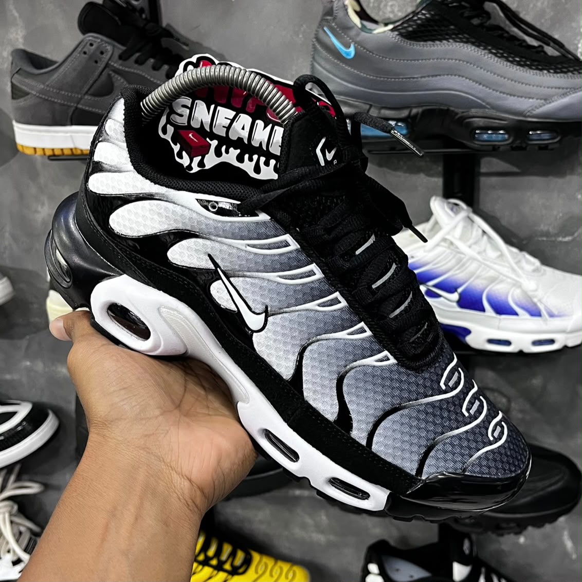 TN PLUS