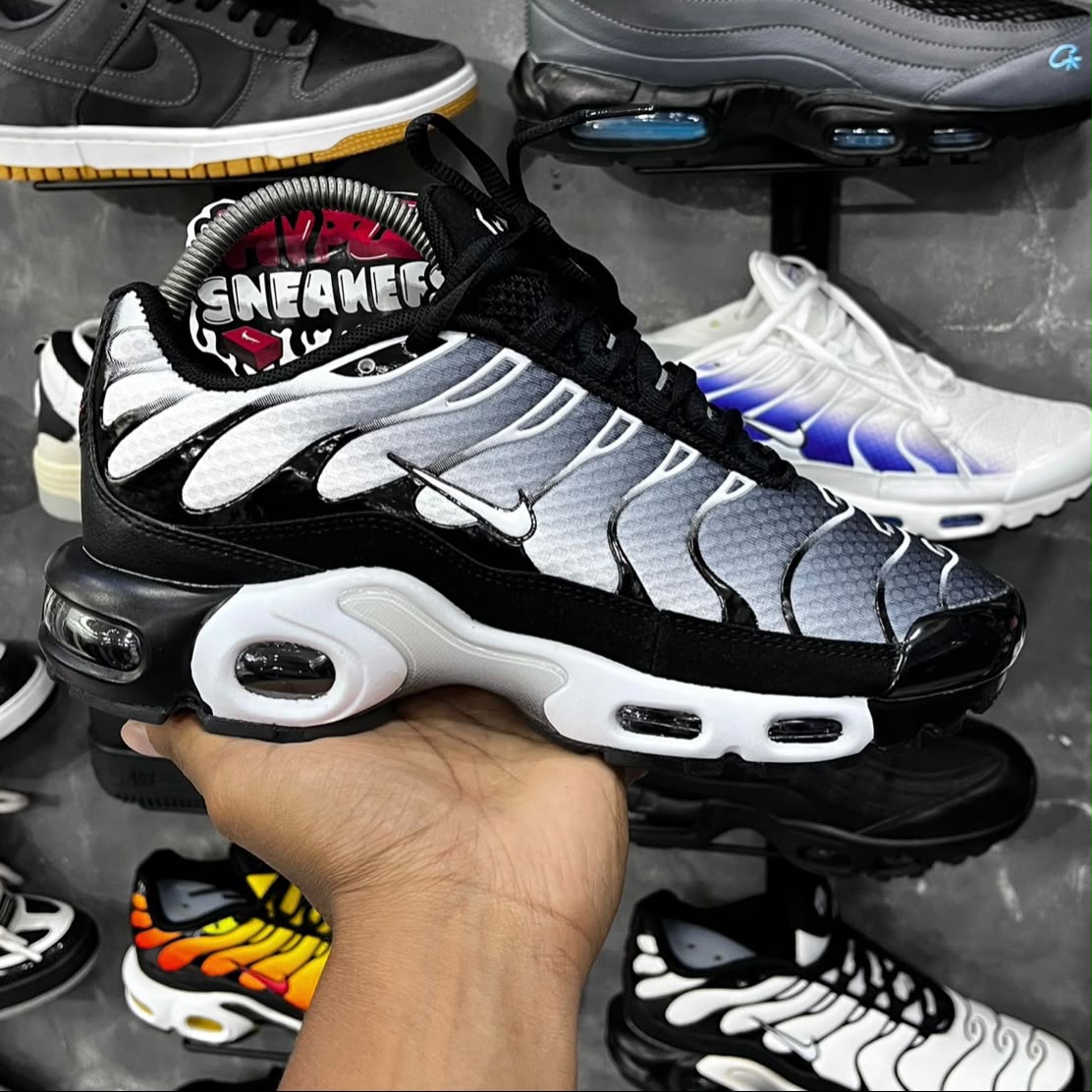 TN PLUS