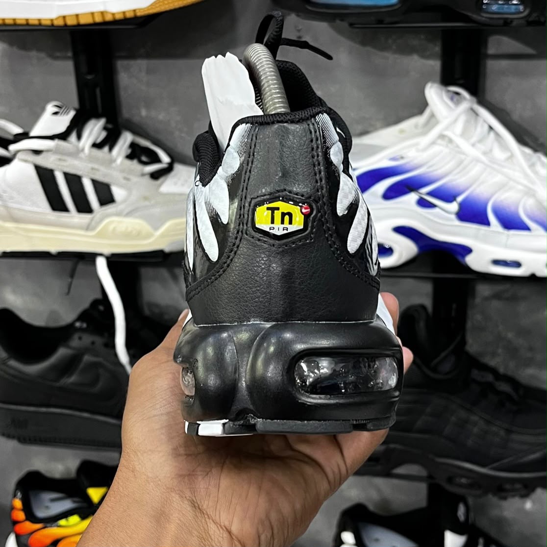 TN PLUS