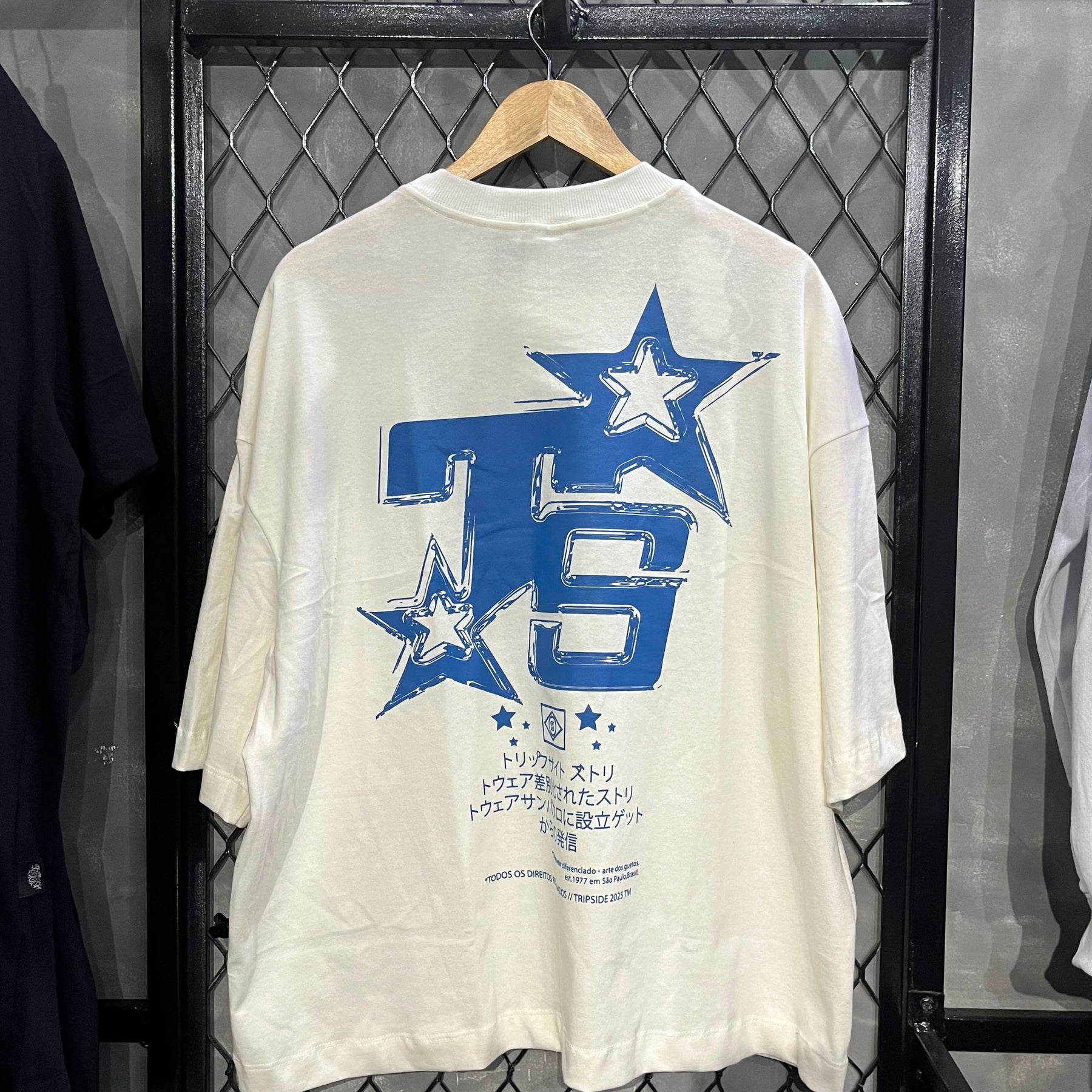 CAMISETA BOXY TRIP SIDE