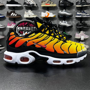TN PLUS