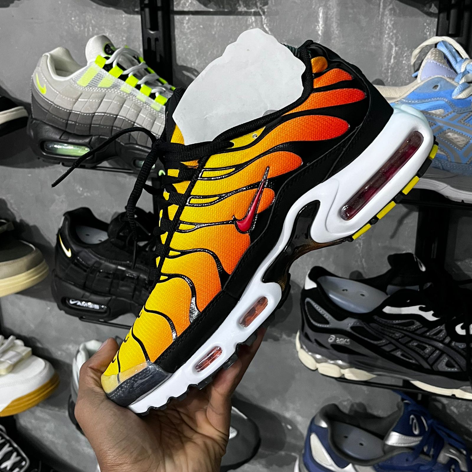 TN PLUS