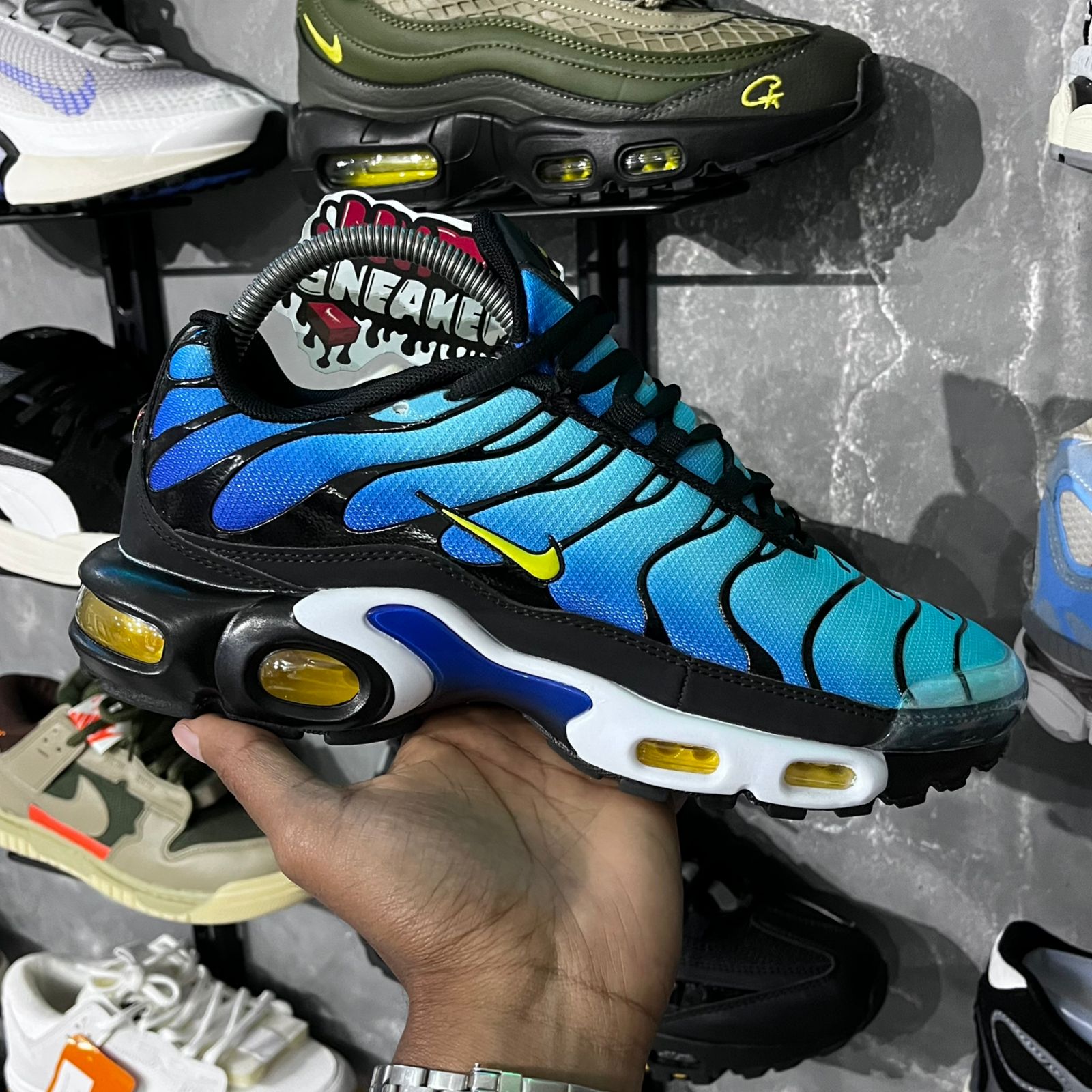 TN PLUS