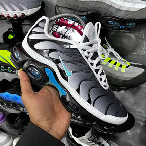 TN PLUS