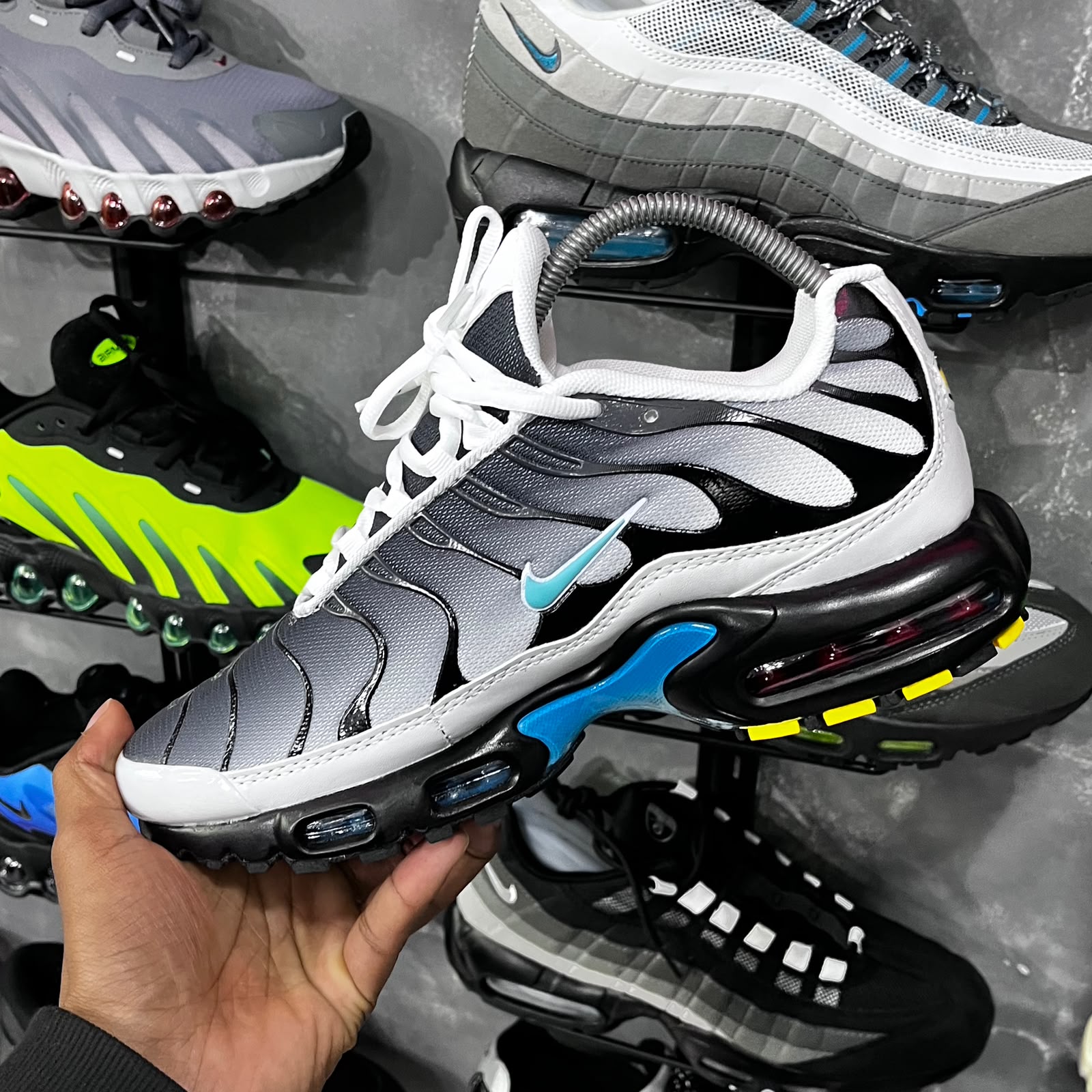 TN PLUS