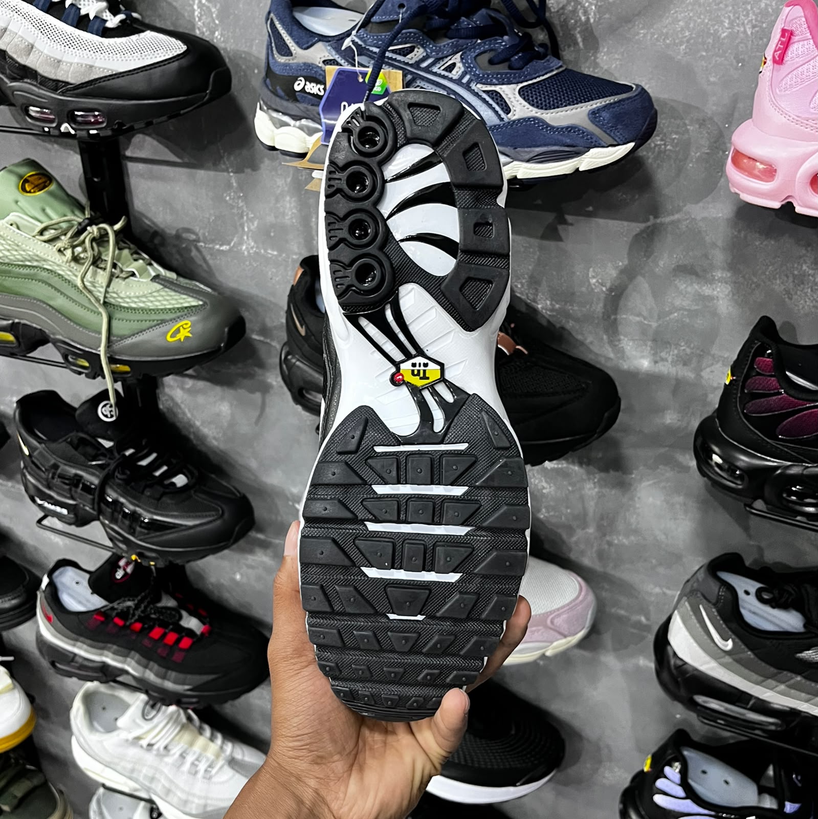 TN PLUS